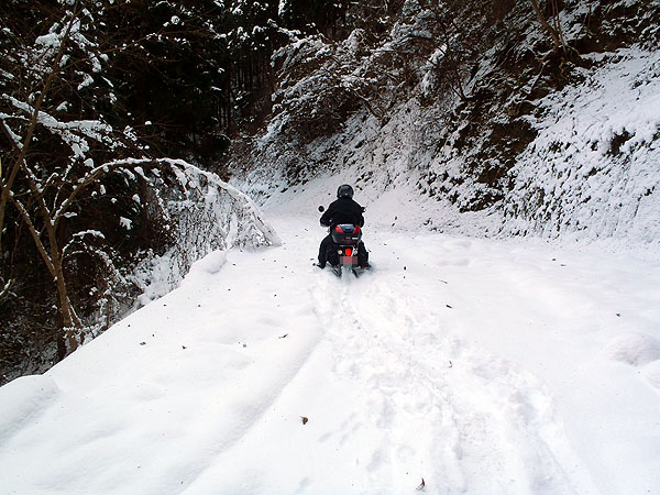 深雪につき、前に進むことが困難に・・・